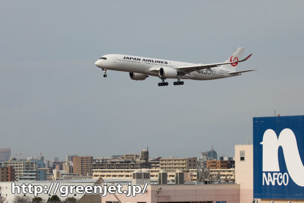 飛行機～福岡市街バックのA350は最高！