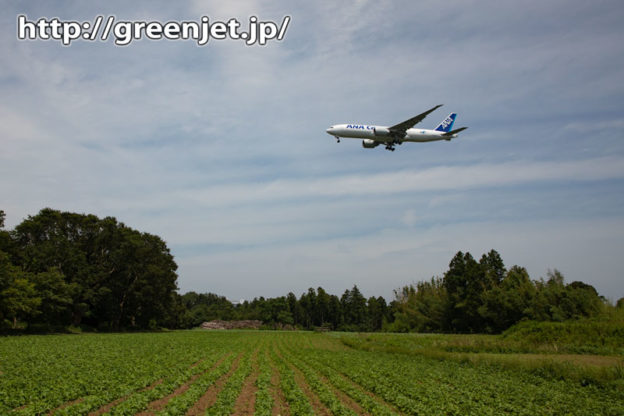 ANAカーゴのB777Fを成田の新緑と