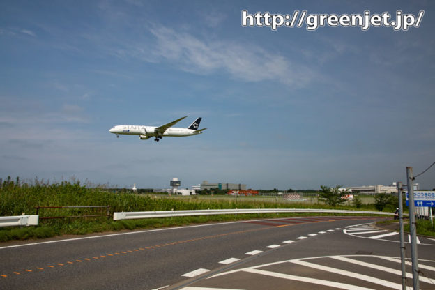 ひこうきの丘でこんな飛行機撮りGood！