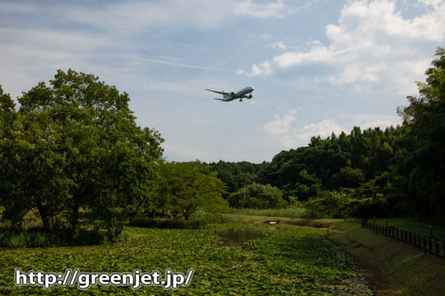 新緑の成田で撮る飛行機写真～正直憧れ..