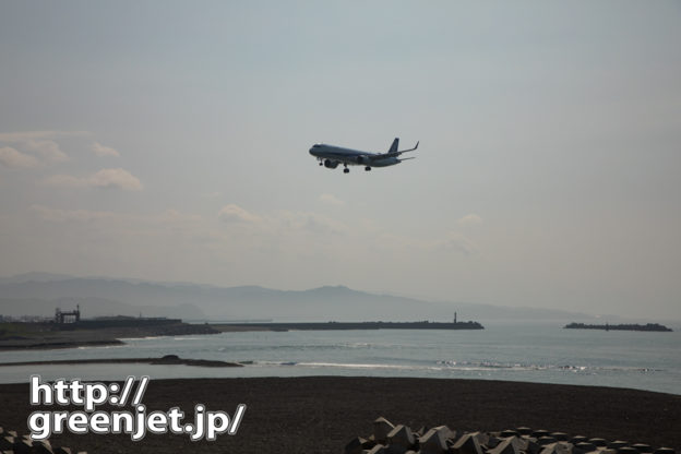 逆光のキラキラ海と飛行機＠高知