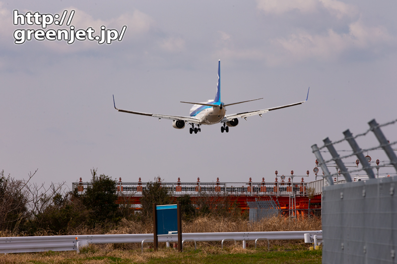 【静岡の飛行機撮影ポイント】だいだらぼっち高原