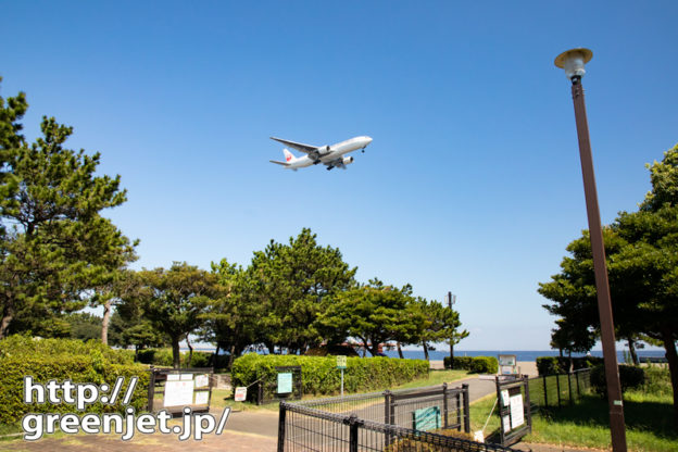 お散歩途中で撮った飛行機写真的な..