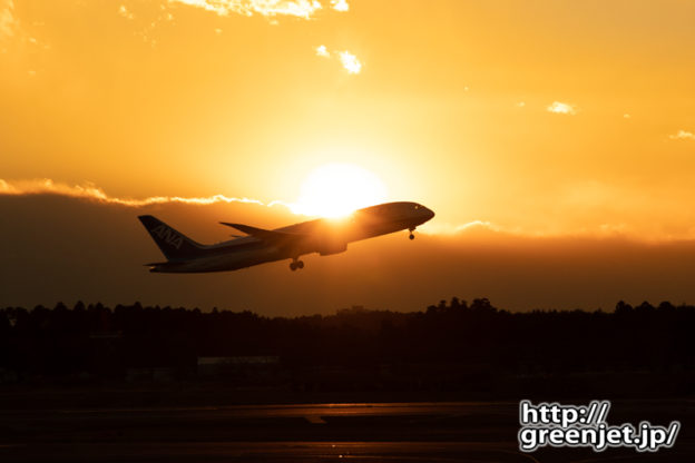 成田で飛行機～夕焼けとANA B787
