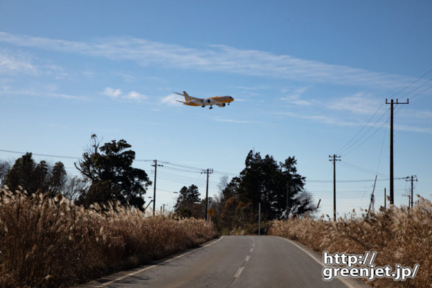 成田で飛行機～道路両はしのススキの向こうに
