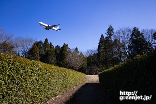 成田で飛行機～植え込みの間からB767を狙う