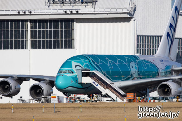 成田で飛行機～フライング ホヌ2号機待機中