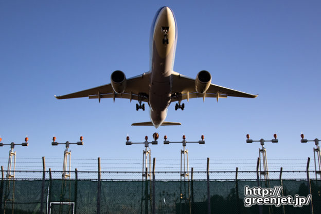 成田で飛行機～A350のお腹はダイナスティ