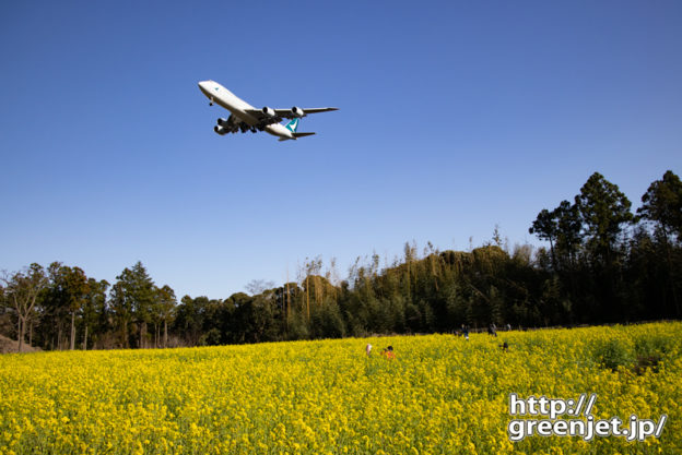 成田で飛行機～2度美味し！菜の花とキャセイ