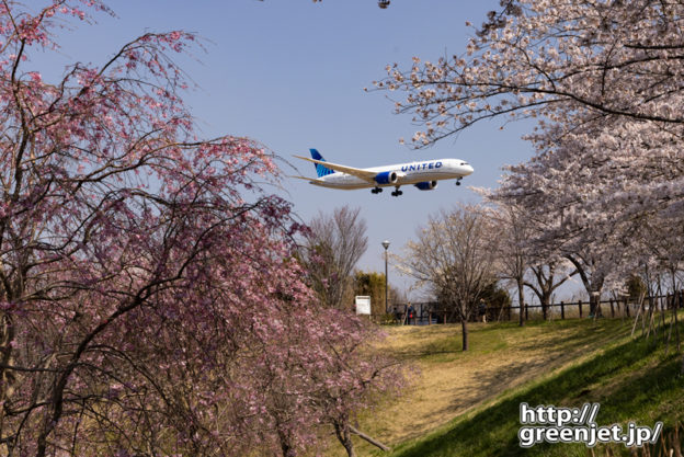 成田で飛行機～桜とニューカラーユナイテッド