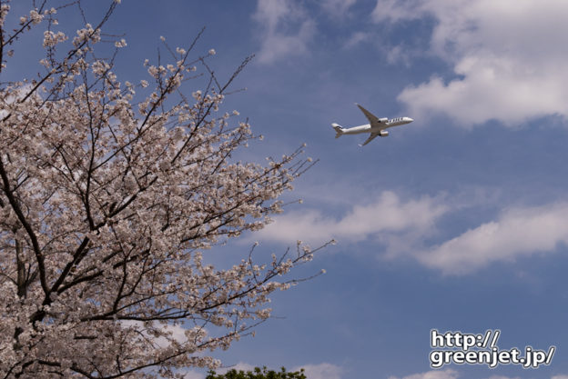 成田で飛行機～さくらの丘の片隅から