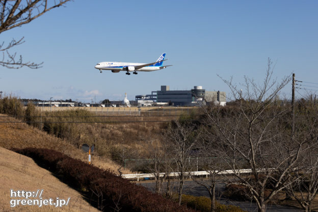 成田で飛行機～桜があればな