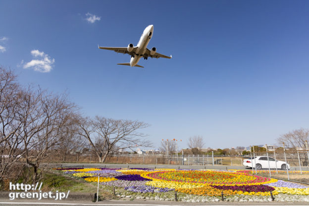 福岡で飛行機～カラフルな花壇と