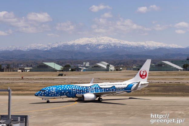 小松で飛行機～雪山にジンベェジェット降臨