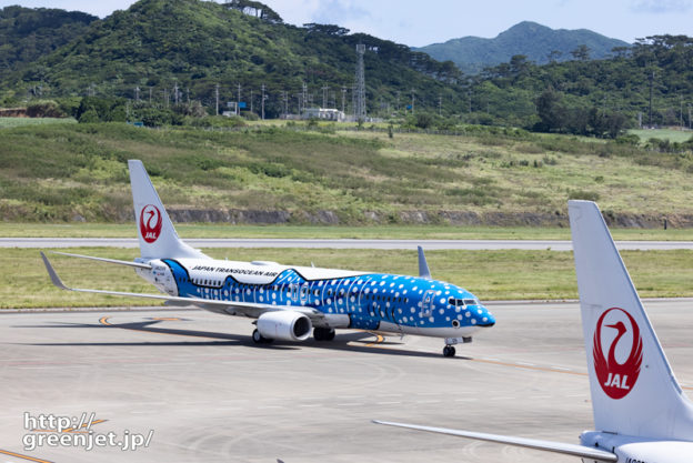 【石垣島の飛行機撮影ポイント】展望デッキ