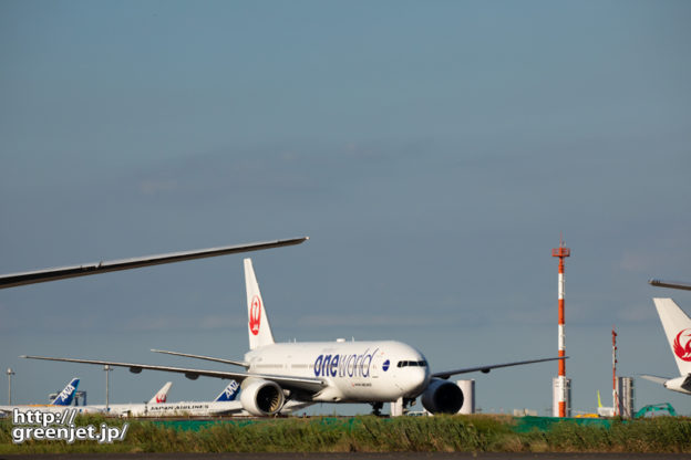 羽田で飛行機～低アングルでワンワールド