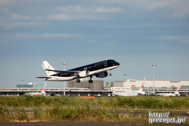 羽田で飛行機～RWY22上がりの黒いヤツ