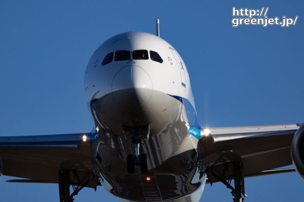 成田で飛行機～B787のドアップはどうよ！