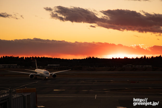 成田で飛行機～夕陽と南半球から来た飛行機