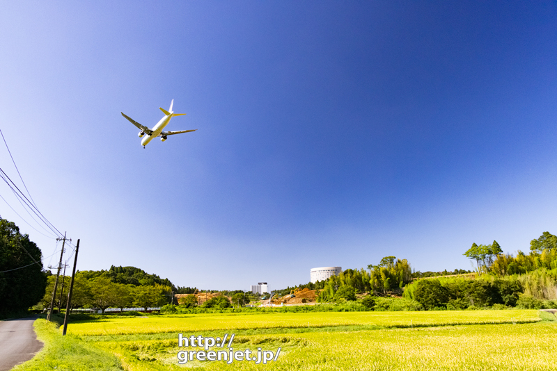 成田で飛行機～稲穂越しに見る飛行機風景