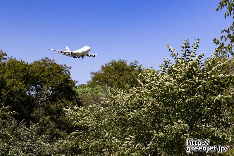 成田で飛行機～さくらの山駐車場からジャンボ
