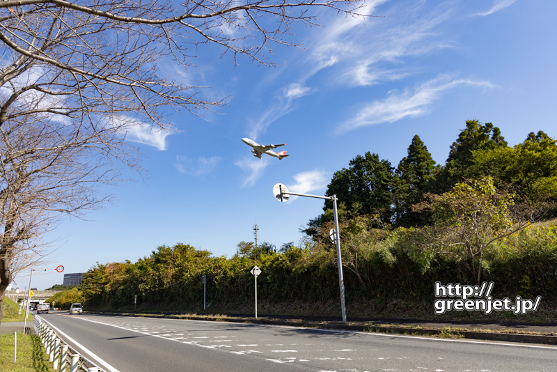 成田で飛行機～道端で撮ったジャンボは！
