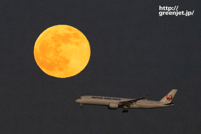 羽田で飛行機～A350に真ん丸の月最高！