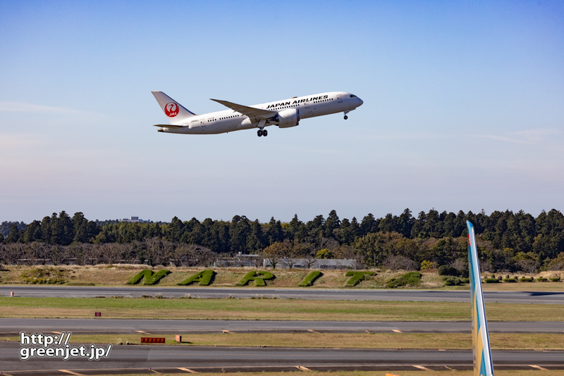 成田で飛行機～NARITA by JAL