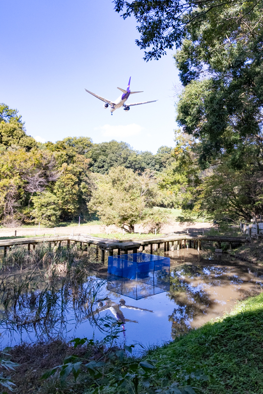成田で飛行機～池に映る飛行機を狙う