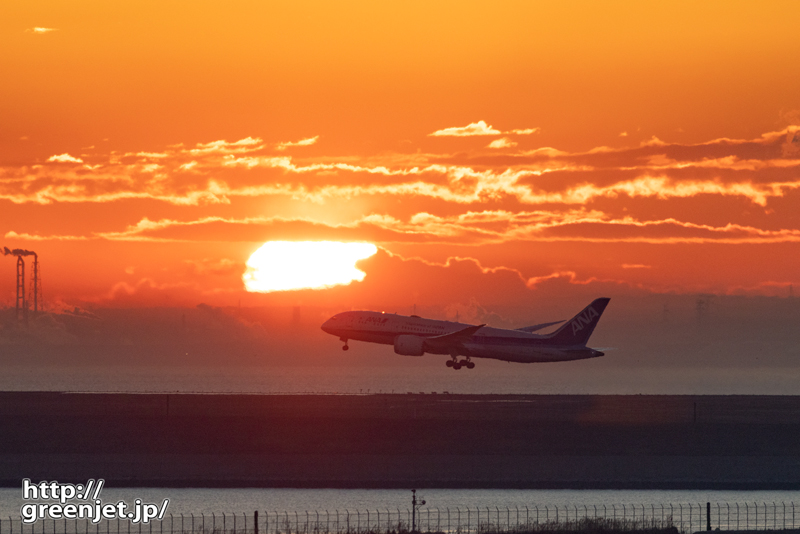 羽田で飛行機～真冬の朝焼けはやっぱココ！