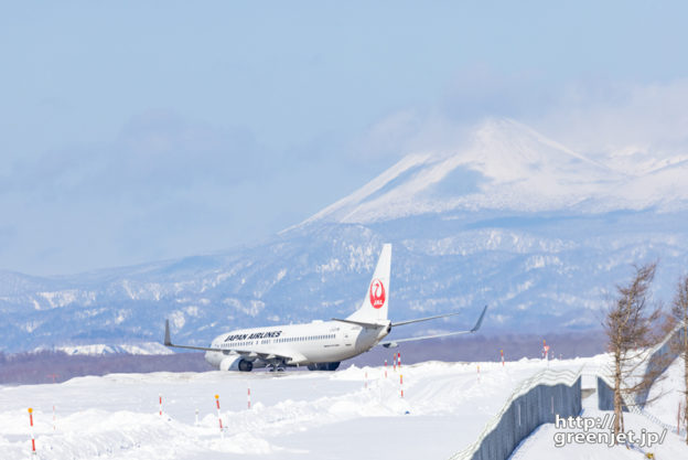 【釧路の飛行機撮影ポイント】誘導路脇