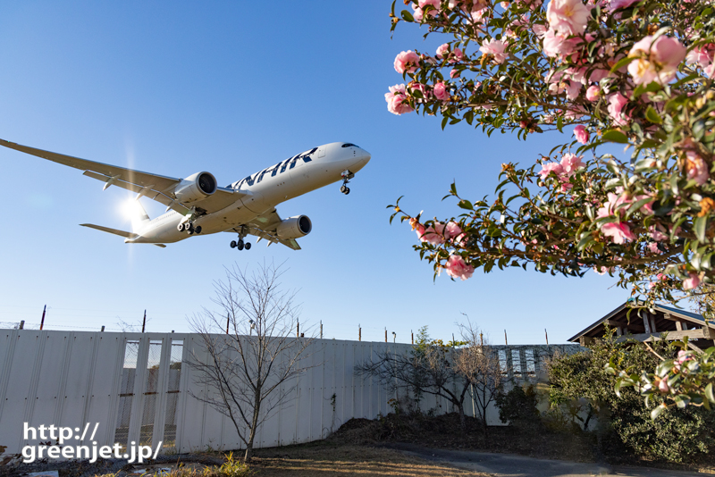 成田で飛行機～東峰神社でピンクの花絡み