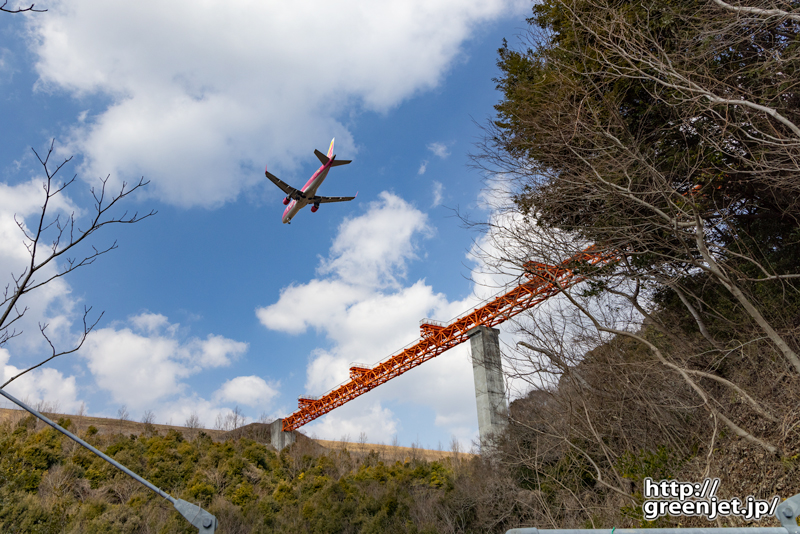 静岡で飛行機～ピンクFDAと誘導灯