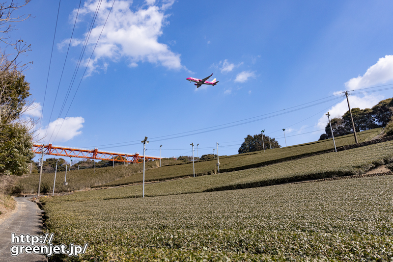 静岡で飛行機～茶畑でローズピンクFDA