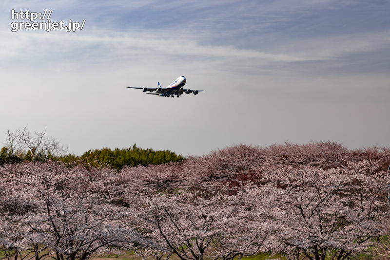 成田で飛行機～2022年の桜とジャンボ