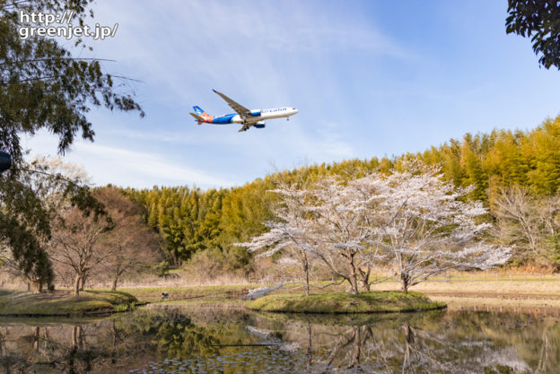 成田で飛行機～シンメトはならずも美しい