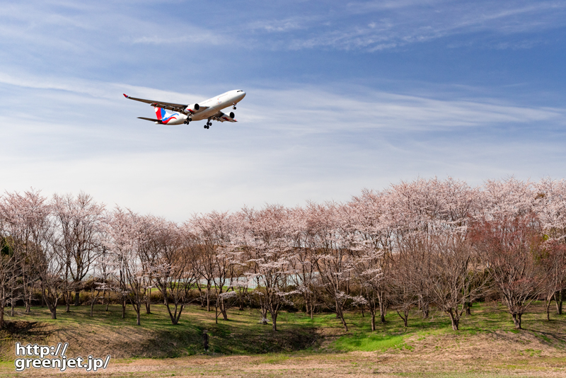 成田で飛行機～やっとココで桜絡み撮ったぞ！