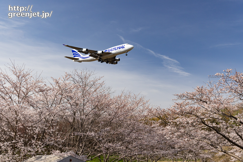 成田で飛行機～桜の季節にナショナル来た！