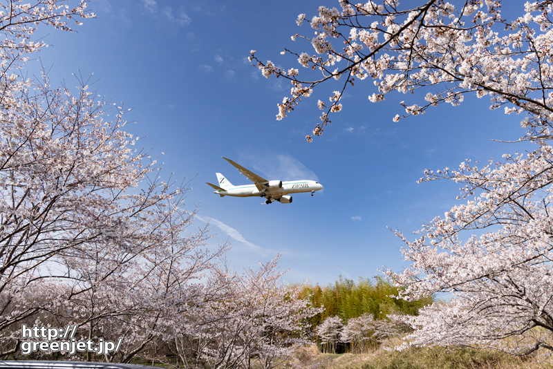 成田で飛行機～桜とコノ構図がやっぱいい！