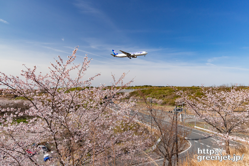 成田で飛行機～チョット高い所から桜を狙う