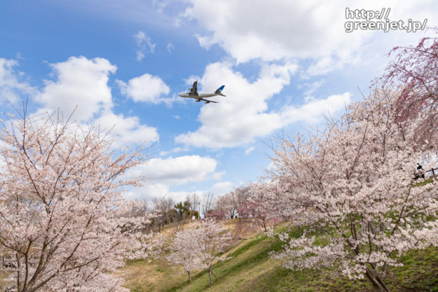 成田で飛行機～2022年の桜の谷と飛行機