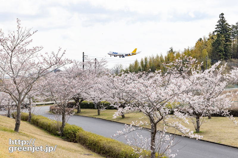 成田で飛行機～桜の丘に降りてくるジャンボ