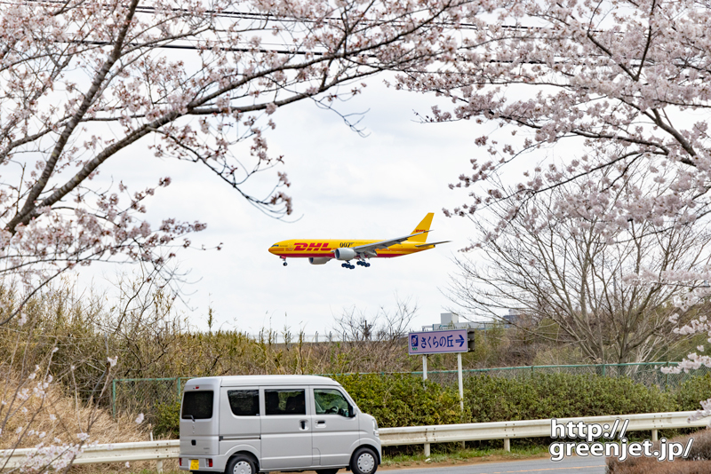成田で飛行機～黄色い飛行機とピンクの桜