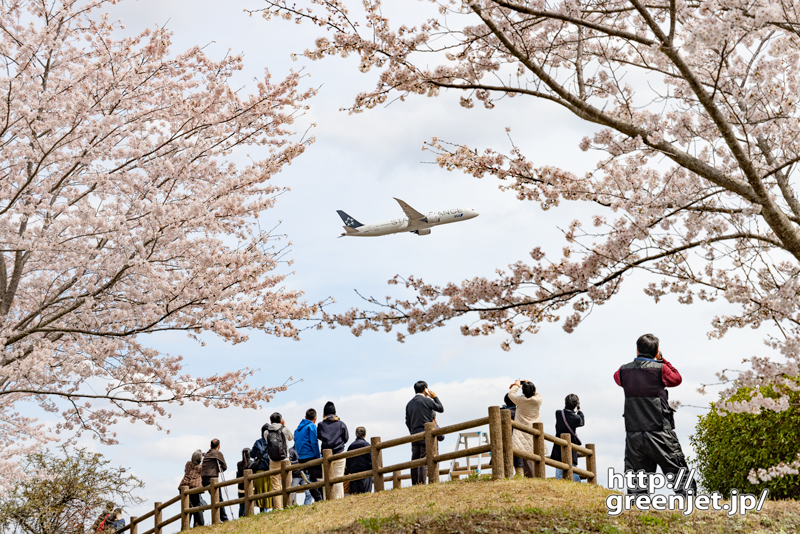 成田で飛行機～さくらの丘の最高の場所