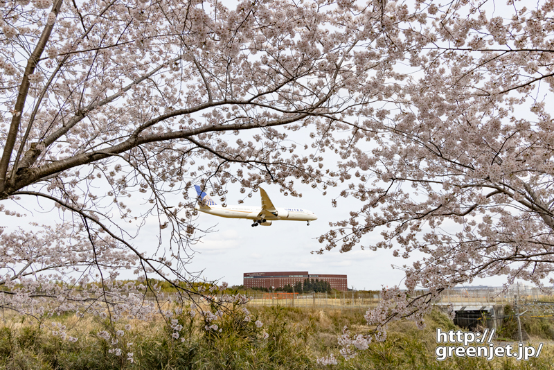 成田で飛行機～桜の額縁に飛行機