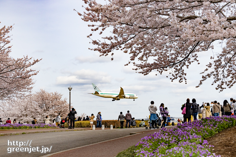 成田で飛行機～桜の大広場で飛行機