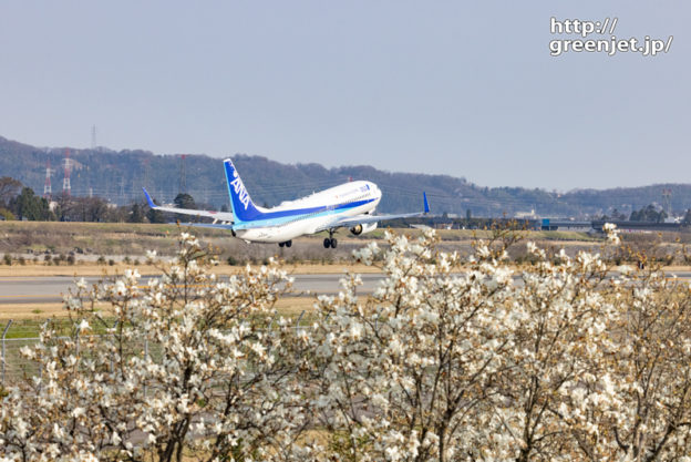 【富山の飛行機撮影ポイント】空港スポーツ緑地