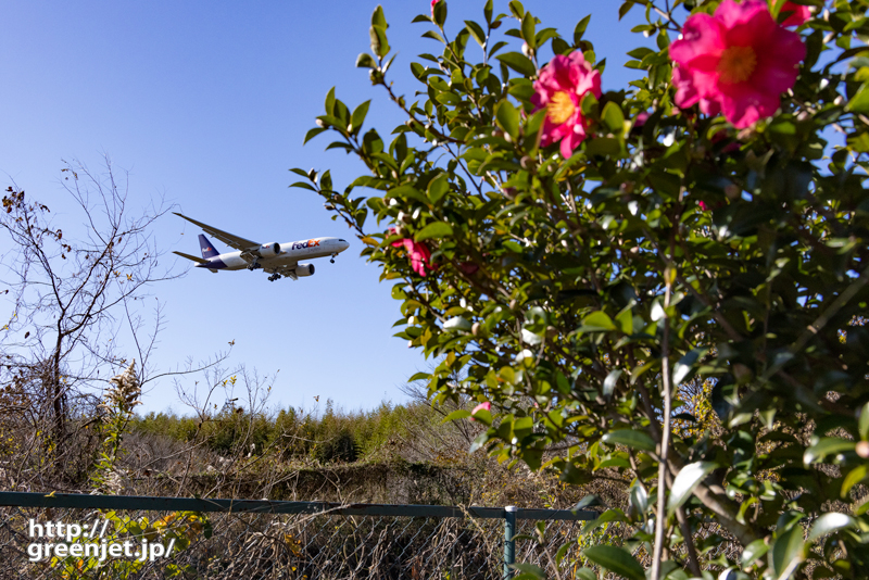 成田で飛行機～赤い花と飛行機