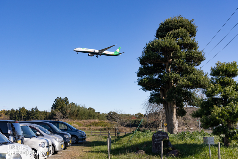成田で飛行機～立派な木と絡めてみる