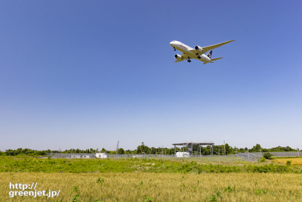 成田で飛行機～スタアラのエア・インディア